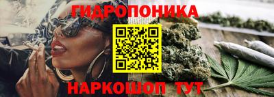 мяу мяу мука Краснознаменск